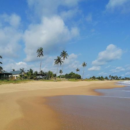 Afro Beach Eco Resort Butre Экстерьер фото