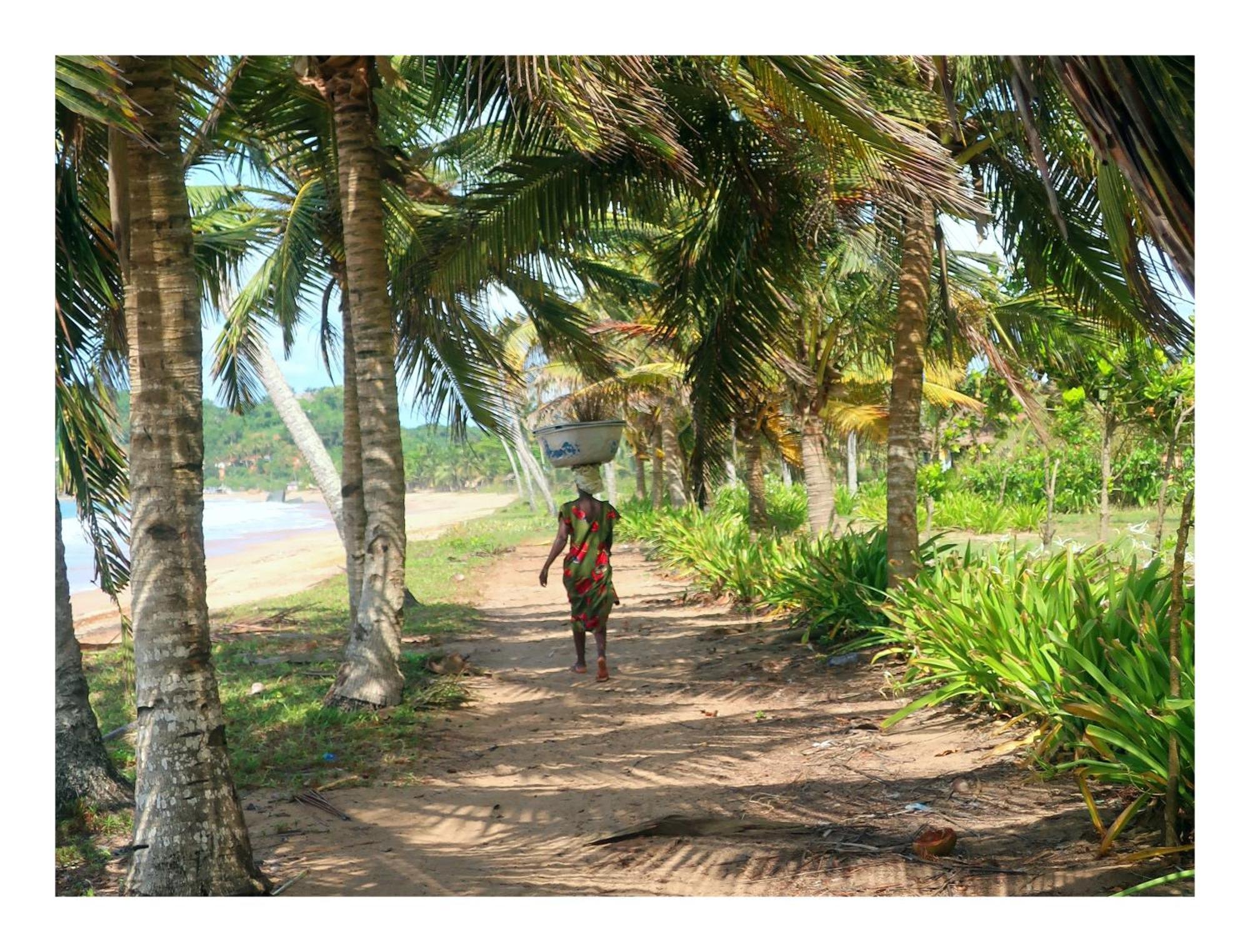 Afro Beach Eco Resort Butre Экстерьер фото